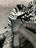 White House Black Market Animal Print Silver Jumpsuit Size 14 - photo 6