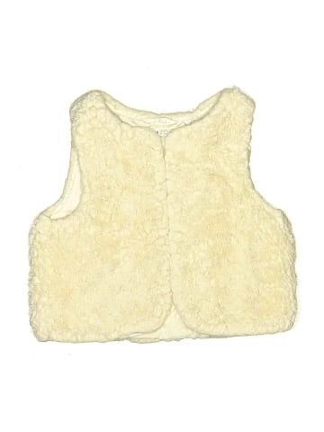 H&M Faux Fur Vest (view 1)