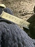 Grey State Solid Blue Active Pants Size 2 - photo 4