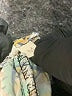 Rip Curl Paisley Ivory Shorts Size M - photo 5