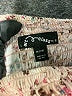 Art Class Ivory Dress Size M (kids) - photo 3