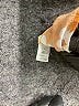 Altar'd State 100% Rayon Orange 3/4 Sleeve Top Size S - photo 8