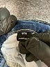 Unbranded Blue Denim Shorts Size 11 - photo 3