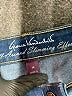 Gloria Vanderbilt Blue Jeggings Size 14 - photo 4