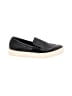 Birdies Black Sneakers Size 9 - photo 1