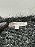 JLo by Jennifer Lopez Tweed Black Pullover Sweater Size L - photo 7
