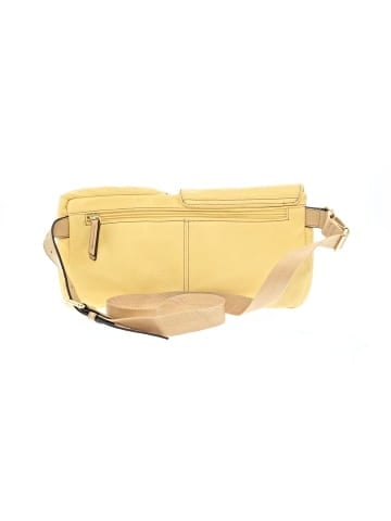 Tignanello Belt Bag (view 2)