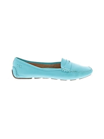 Patricia Green Flats (view 1)