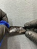 New Mix USA Blue Active Pants Size Lg - XL - photo 8
