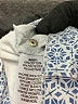 British Khaki Argyle Blue Jeans Size 6 - photo 5