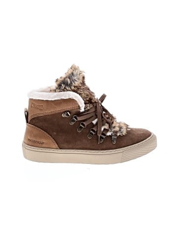 Cougar Ankle Boots (view 1)