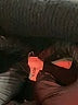 Moth Black Turtleneck Sweater Size L - photo 7