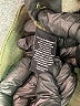 Sanctuary Camo Green Jeggings Size 29 waist - photo 8