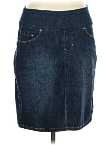 Jag Jeans Denim Skirt (view 1)