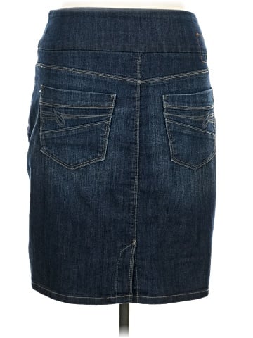 Jag Jeans Denim Skirt (view 2)