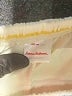 Hanna Andersson Stripes Ivory Skort Size 4 - photo 3