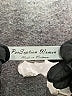 Perseption Concept Black Short Sleeve Blouse Size 1X - photo 7