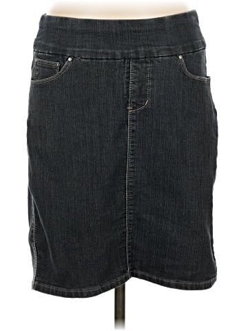 Jag Jeans Denim Skirt (view 1)