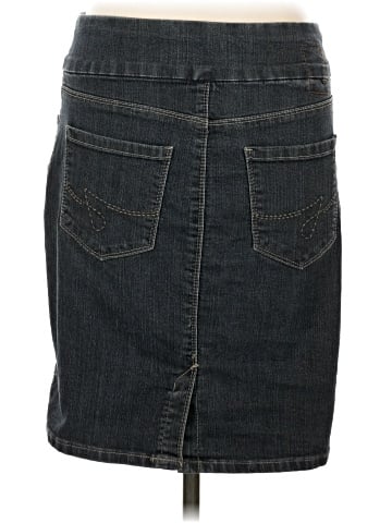 Jag Jeans Denim Skirt (view 2)