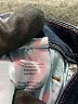 Sam Edelman Solid Blue Jeans Size 27 waist - photo 9