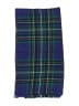 Gap Plaid Blue Scarf One size - photo 2