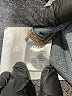 Sézane 100% Cotton Blue Jeans Size 25 waist - photo 5
