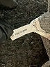 BCBGeneration 100% Cotton Gray Turtleneck Sweater Size S - photo 7