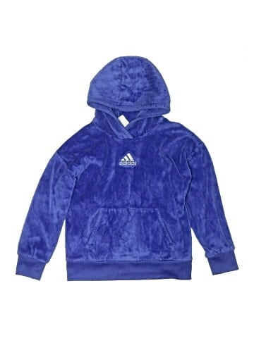 Adidas Pullover Hoodie (view 1)