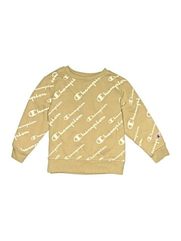 Champion Sweatshirt (view 1)