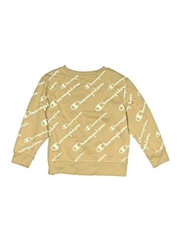Champion Sweatshirt (view 2)