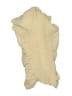 Express Ivory Scarf One size - photo 2