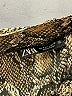 Zara Paisley Gold Skort Size S - photo 3