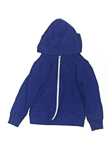 American Apparel Zip Up Hoodie (view 1)