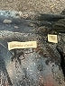 Coldwater Creek Print Gray Jacket Size 10 (petite) - photo 6