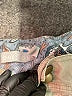 One 5 One Green Khaki Shorts Size XL - photo 3