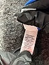 American Apparel Solid Blue Active Pants Size L - photo 8