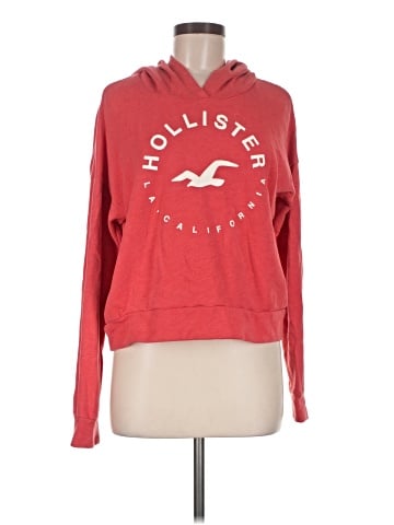 Hollister Pullover Hoodie (view 1)