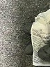 Old Navy 100% Cotton Print Ivory Long Sleeve Button-Down Shirt Size 2X - photo 8