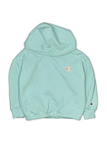 Champion Pullover Hoodie (view 1)