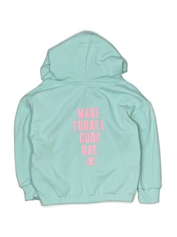 Champion Pullover Hoodie (view 2)