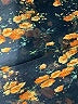 Zara Basic Floral Black Casual Dress Size S - photo 8