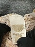 New Romantics Tan Pullover Sweater Size M - photo 8