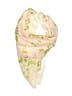 Pierre Balmain Ivory Scarf One size - photo 1