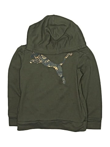 Puma Pullover Hoodie (view 1)