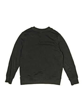 Hanna Andersson Sweatshirt (view 2)