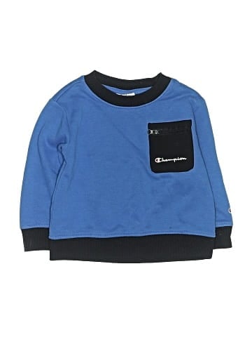 Champion Sweatshirt (view 1)
