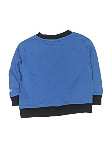 Champion Sweatshirt (view 2)