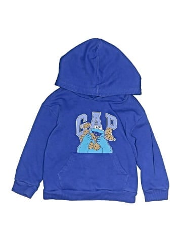 Gap Pullover Hoodie (view 1)