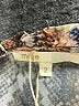 Maje Animal Print Tan Casual Dress Size Med (2) - photo 7