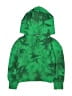 Gap Kids Green Pullover Hoodie Size 4 - 5 - photo 1